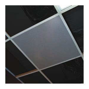 2'x1' Lay-In Ceiling Speaker